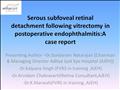 Serous subfoveal retinal detachment following vitrectomy in postoperative endophthalmitis: a case report
